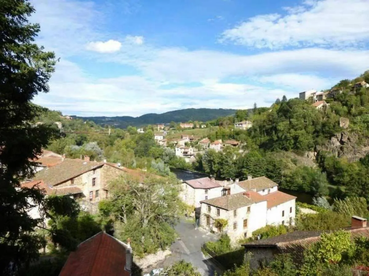 Holiday home Grande Maison Pour Familles Et Amis Pres Des Gorges De L'Allier - Fr-1-582-189 Villeneuve-d'Allier